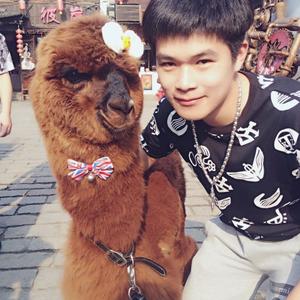 寂寞的野兽 2015