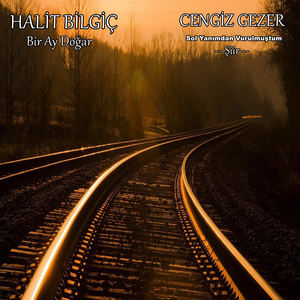 Bir Ay Doğar (Sol Yanımdan Vurulmuştum - Şiir)