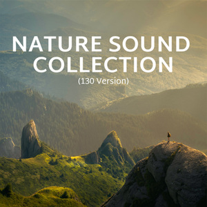 Butterfly Ballet at Dawn