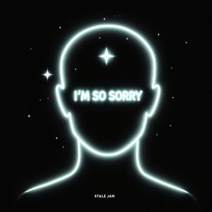 I'm So Sorry