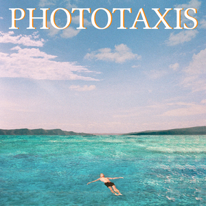 Phototaxis
