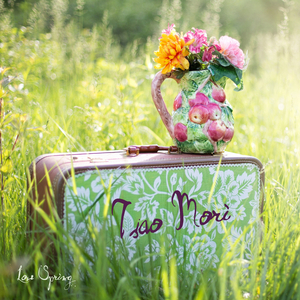 아베 베룸 코르푸스