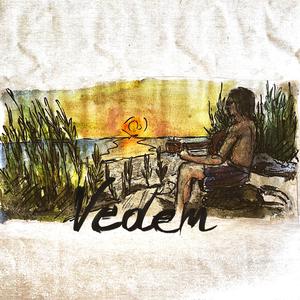 VEDEM