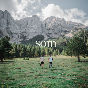 Som