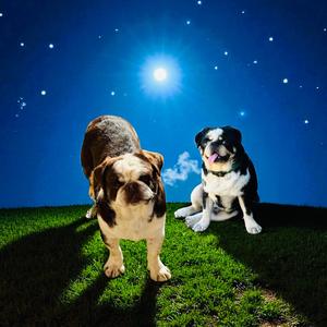 Sancho et Thor (feat. Krollyn)