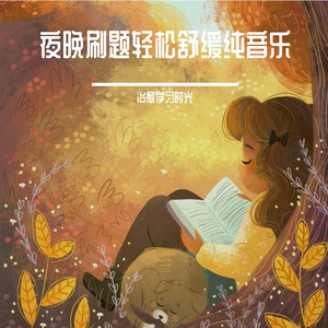 熬夜刷题暖心放松轻音乐