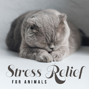 Nature Awakens to Life