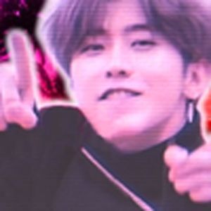 蒸汽鸡（小黑子）