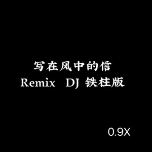 写在风中的信remix (0.9降速版)