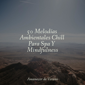 Encendiendo Sueños en Otoño