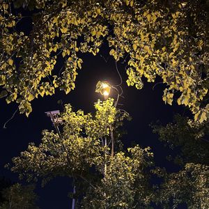 没有珍惜（Prod by FRESH_ye）