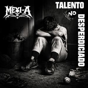 Talento No Desperdiciado