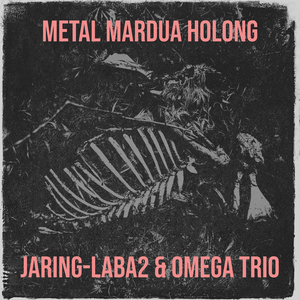 Metal Mardua Holong