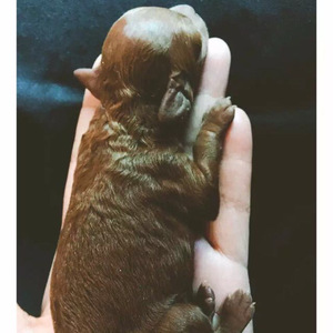 我要我们在一起（Cover 丁少华）