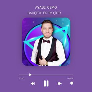 Bahçeye Ektim Çilek