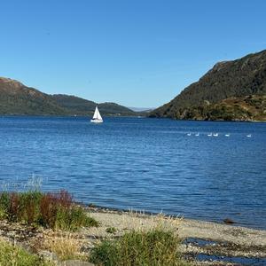 Numbers (Numbers remix)