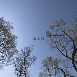 落日当空 (大提琴)