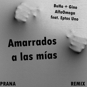 Amarrados a las Mías (Remix)