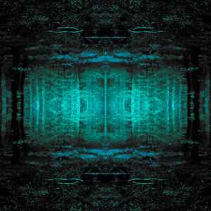 Shaman