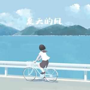 夏天的风