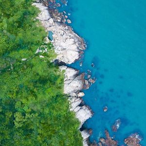 一半树林一半海水