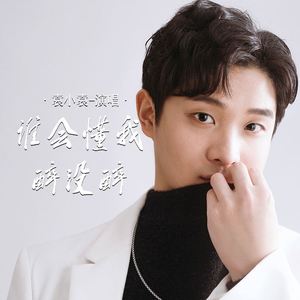 谁会懂我醉没醉