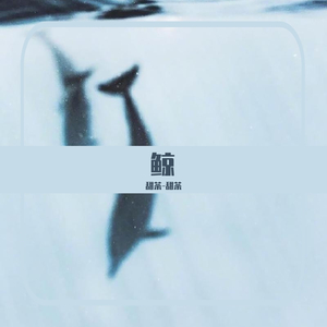 鲸 whale_甜茶-甜茶