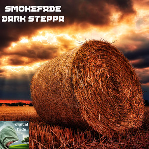 The Media Can Drive You Crazy (Original mix)