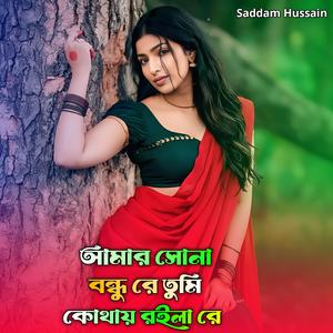 আমার সোনা বন্ধু রে তুমি কোথায় রইলা রে