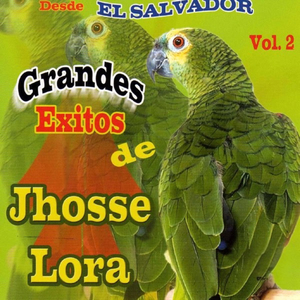 Velorio