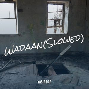 Wadaan(Slowed)