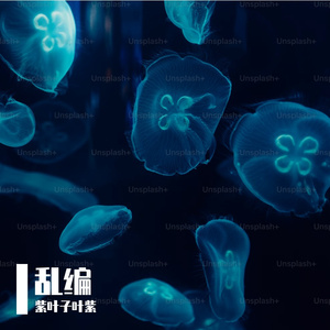 迷雾仙境