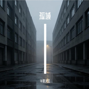 孤域