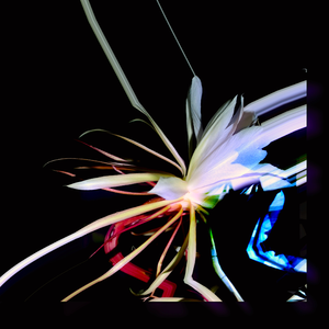 Cave (Wordcolour Remix)