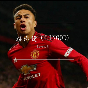 林加德(LINGOD)