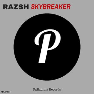 Skybreaker (Original Mix)