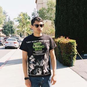 Violet Chrysanthemums