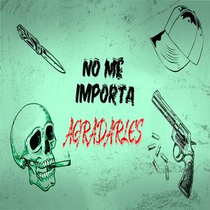 No me importa agradarles (feat. N del Rickz & C&H)