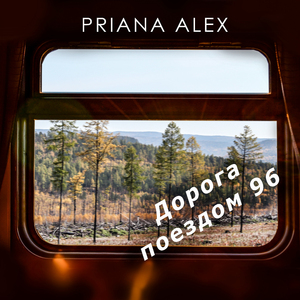 Дорога поездом 96