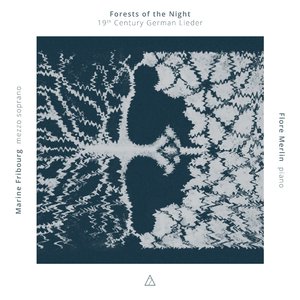 Waldszenen, Op. 82: No. 3, Einsame Blumen