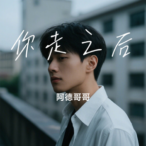 你走之后