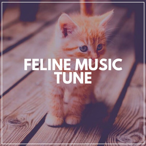 Cats' Lenitive Sound
