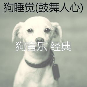 大气层(宠物睡觉)