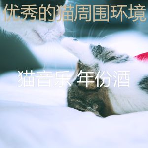 微妙的小猫心情