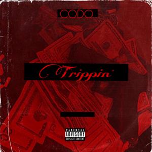Trippin' (feat. Krakka, realtallsoldier & Kuttstakkin)