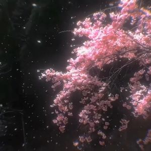 佳人轻抚桃花扇（DJ热播）