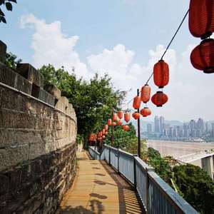 就让我在春风沉醉的夜晚老去