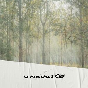 I Don't Hurt Anymore