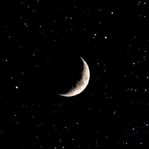 月弯弯（声入人心版原唱陈洁仪）