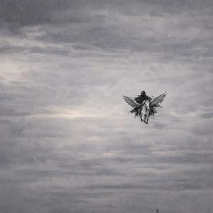 სხეულის მახსოვრობა